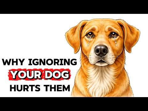 Psychology of Dogs When You Ignore Them (What Happens in Their Mind)