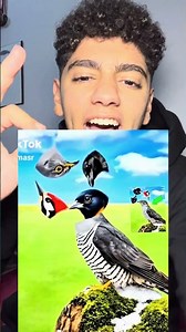 The hardest challenge 😱