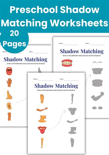 Preschool Shadow Matching Worksheets | Printable Kids Activity | 20 Pages Learning Game - Etsy