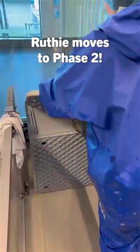 Double good news for Ruthie & Dr. Floxy! 🦭 Grey seal Ruthie (formerly Taaitaai) has moved to Phase 2: a bigger pool to swim in and she gets to enjoy being outside! 🌊 And it also means that Dr. Floxy has a new roommate! ☀️ #sealcentre #sealrescue #greyseal #sealtok