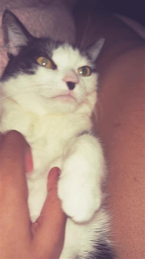 bluebutterfly645 (@bluebutterfly645)’s videos with forwards beckon rebound - Adrianne Lenker