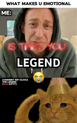 Try not to React 😭🥀 #cat #sad #emotional