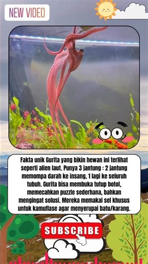 Apakah Gurita Itu Alien? #shorts #unik #info