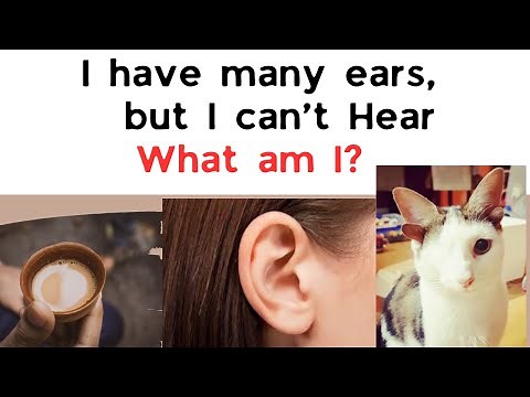 20 incredibly difficult riddles collection