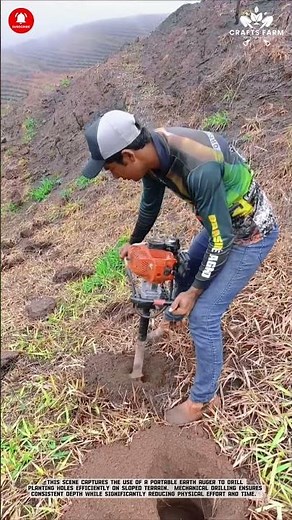 Earth Auger Hole Drilling: Fast Soil Preparation for Efficient Tree Planting