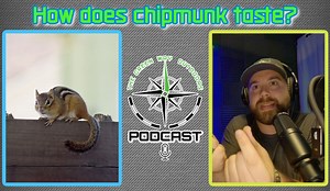 Jeff had a chipmunk pest problem on his property but refused to waste...