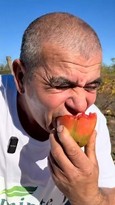 #Seminte1 #seminterosii #RosiiGigant #tomato #bio #beefsteak #gradina #agricultura #everyone #fans @faniactivi | Seminte 1