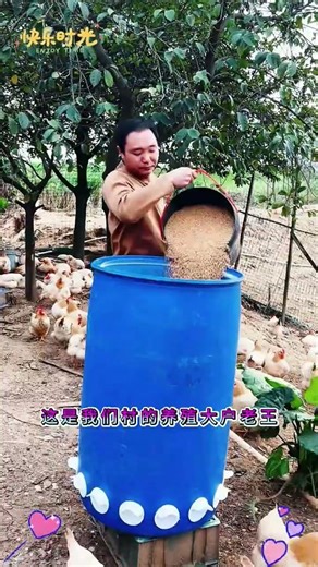 Automatic Feeder for Chickens, Ducks & Geese | Easy Poultry Farming