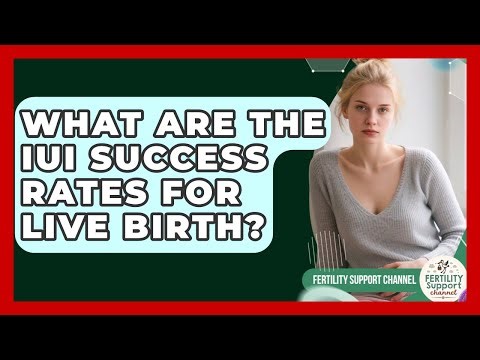 What Are The IUI Success Rates For Live Birth? - Fertility Support Channel