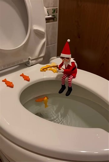 A couple of days ago, we told you that Elliff the Elf ran across some people fishing at the new Burke Park site. Elliff got some ideas - look out! Well, he decided to have his own fishing expeditions…see the video here and a photo in the comments. No, Elliff, no! You don’t fish in a toilet! You definitely throw back whatever you catch there! Ewww!!! | Owens Cross Roads Police