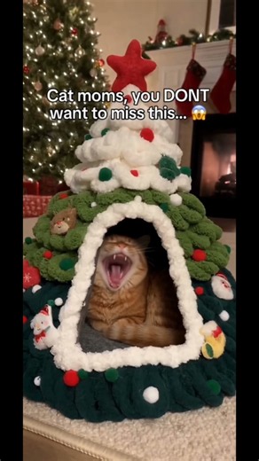 Comment “CAT” to get one today! 🐈🎄#christmas #fyp #cat