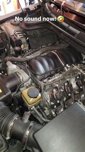 No sound now! All i did was add 16oz of Pro Lube in with the oil change,let vehicle run1hr+ #PROLUBE
