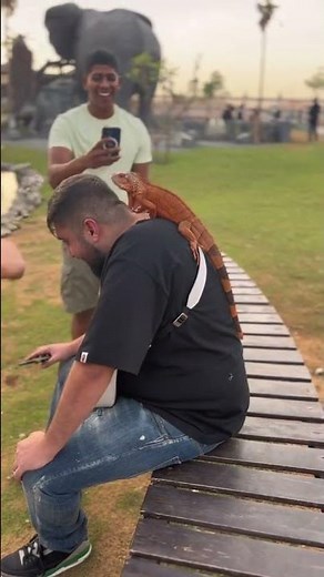 Extraordinary Wildlife Living with Humans: Heartwarming Stories of Coexistence, Conservation