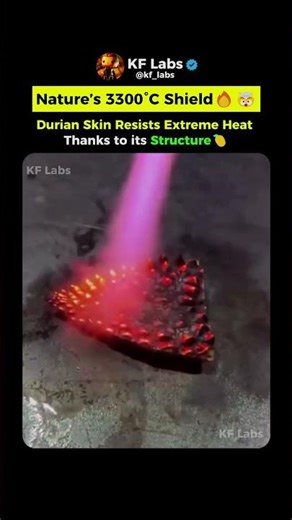 This Fruit Skin Survives a 3300°C Flame 🔥🤯