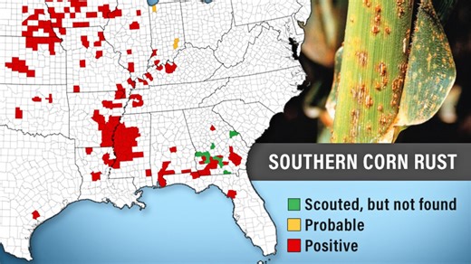 Southern Rust: Coming to a Field Near You?