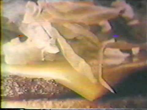 1967 McDonald's Commercial - Big Mac Introduction