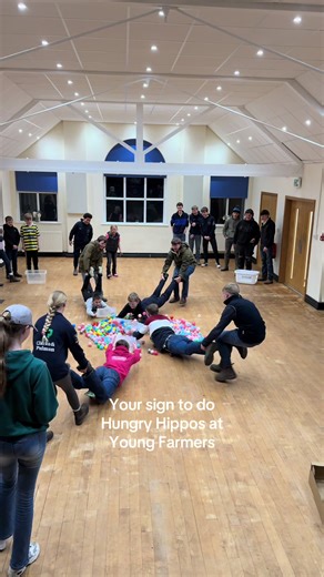 Hungry Hippos at Young Farmers Event