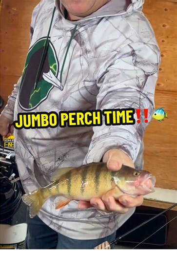 Jumbo Perch Fishing Adventures in Minnesota