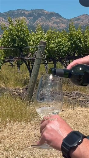 At Trinchero Napa Valley in Saint Helena, history and innovation meet on a picturesque 22-acre property between Spring Mountain and Howell Mountain. This site, where Mario Trinchero settled over 75 years ago, boasts a cutting-edge winery, a welcoming tasting room, and a hospitality center overlooking the Cabernet Sauvignon vines of Mario’s Vineyard. Here, you can enjoy a selection of five current release wines and, when available, the highly acclaimed Howell Mountain Red, either in the cozy Lega