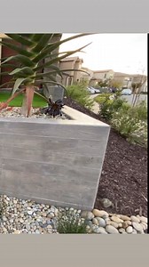 Alex Zamora Designs on Reels