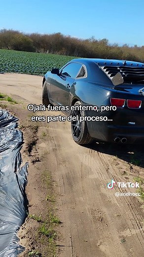 Chevrolet Camaro LT1 Review and Features