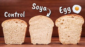 This is How Lecithin Affects Bread Dough - ChainBaker