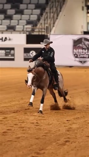 Suggested by Cuore❤Cavalli Infoal Partners @infoal_partners ᯡ 𝗕𝗥𝗘𝗘𝗗𝗜𝗡𝗚 𝗦𝗘𝗔𝗦𝗢𝗡 ᯡ 2️⃣0️⃣2️⃣6️⃣ LET'S GO 🏁 VULCANO 2021 AQHA/APHA BAY ROAN "STALLION", By Spooks Gotta Whiz X D’un It In Silver by Hollywood Dun It NRHA Earnings: LTE: $135,296 2026 - consistency - color - 6 n/n - Genetics Early booking fee $1.500 Breeding Fee: $2.000 For info 🌐 infoalpartners.com 📧 groppelli@infoalpartners.com 📲 39 347 672 8357 WhatsApp ✅ wa.me/393476728357 Germany Almut Cooper @infoalpartnersgermany