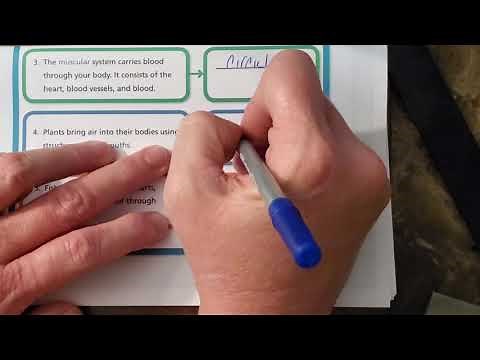 Unit 9 Lesson 3 Sum It Up Science Fusion