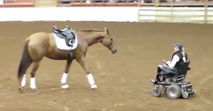 Horse Approaches Woman In Wheelchair – Moments Later, The Entire Crowd Falls Silent
