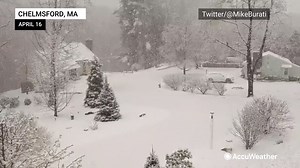 9.8K views · 215 reactions | Residents across New England, including Connecticut, Massachusetts and New Hampshire, awoke to a spring winter wonderland yesterday. https://bit.ly/3aAWkjB | AccuWeather | Facebook