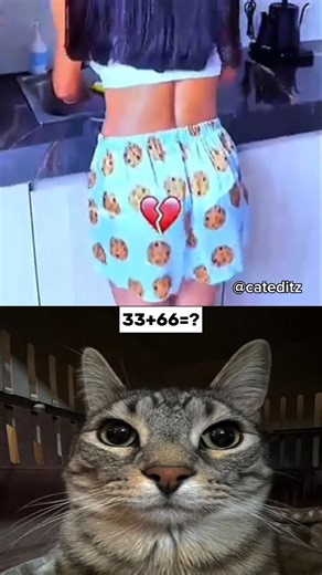 wait for end 🥵 #cat #funny #jumpstyle #shorts