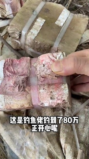 Can I Take This Home? The Science Behind Animal Oddities