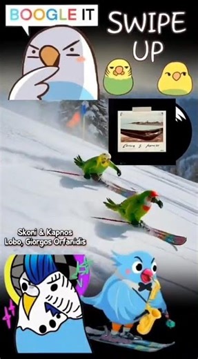 have you seen trained parakeets sking ? walka Habibi, we have couple of them swinging their skis