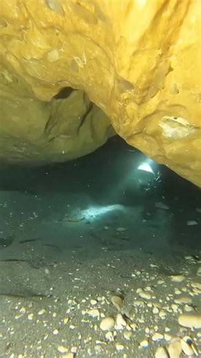 Today’s cave started out quite small but then got much larger and was very beautiful! #cavediving #diving #scubadiving #scuba #technicaldiving #underwaterphotography #techdiving #cave #underwater #sidemountdiving #sidemount #wreckdiving #cavediver #rebreather #uwphotography #dive #cenote #underwaterworld venture #tecdiving #xdeep #tdidivers #buceo #cavedive #uwphoto #photography #scubadiver #padi #cenotes #freediving