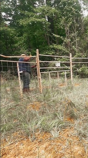 How is a large trap set? #wildboar #trap #wildhogs