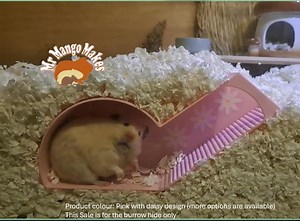 Burrow Hide, Hamster Hide, Mouse Hide, Small Animal Hide, Colourful Hide, Hamster Tunnel, Hamster Underground Watchbox, Hamsters Accessories - Etsy