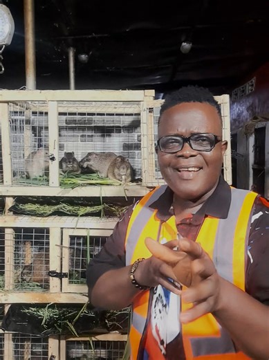 Grasscutter Farming Masterclass Training in Nigeria