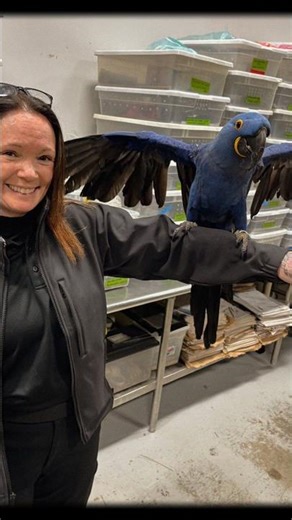 Animal Control Training: Handling Animals Not Commonly Seen in Massachusetts