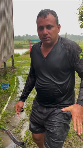 GiroAcreano on Instagram: "Fenômeno em Jordão: Poraquê “ilumina” lâmpada após fortes chuvas na zona rural JORDÃO, ACRE – Um vídeo curioso tem movimentado as redes sociais dos moradores do Vale do Juruá nos últimos dias. O protagonista não é um morador da cidade, mas um animal emblemático dos rios amazônicos: o poraquê (Electrophorus electricus). A gravação foi realizada por Eudes Mendes, secretário municipal de Produção e Sustentabilidade de Jordão, durante uma visita à zona rural do município.