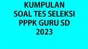 Latihan Soal Tes Seleksi PPPK Guru SD 2023 Lengkap Kunci Jawaban - Tribunpontianak.co.id