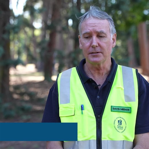 43 reactions · 6 comments | Parks and Wildlife Service, Western Australia on Reels | Facebook