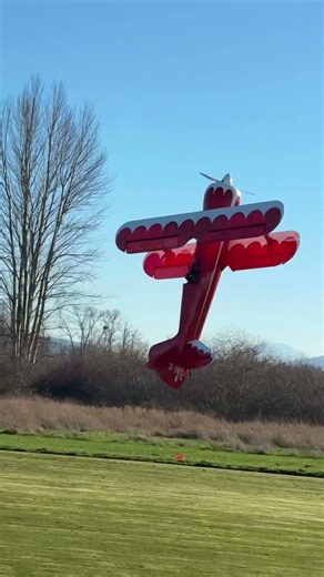Harriers with the Legacy Aviation Muscle bipe #rc #3d #harrier