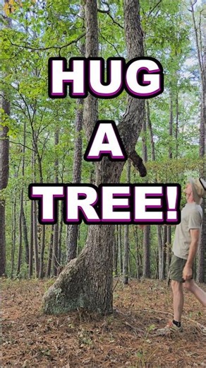 Go Hug A Tree! #treehugger #hug #naturelover #mentalhealth #reducestress #improvefocus #shorts #hug
