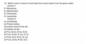 10. Match colum I column II and select the correct option from ... | Filo