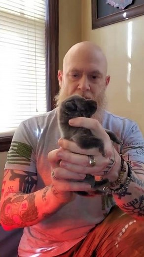 Creating SUPER Puppies - How to Do Early Neurological Stimulation #shorts