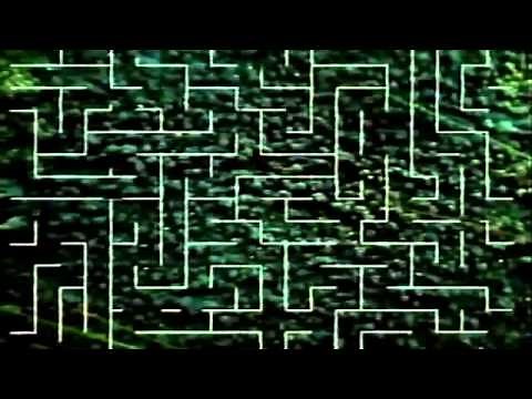 Nickelodeon VHS Intro (Maze) (RARE 2000 to 2005)