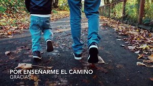 14K views · 140 reactions | ¡Comienza el verano con Tropical Inns!...