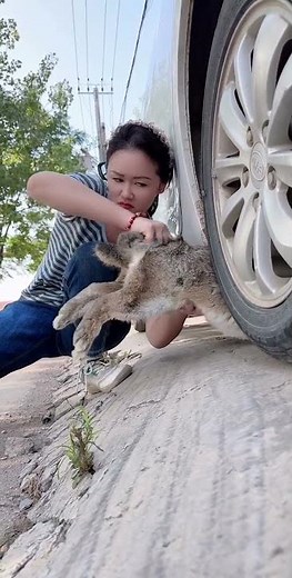 The spring of rabbit breeding has come. In the autumn breeding season, one male and two females