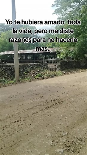 Chiches Vallenatos: Exploring Colombian Folklore Music