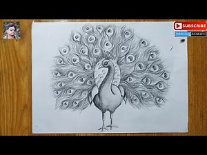 how to draw a peacock step by step in easy pencil sketch drawing for kids ,peacock drawing